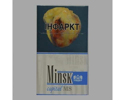 Minsk Capital MS (Минск Капитал МС)